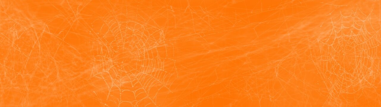frame made of real creepy spider webs silhouette banner long panorama - Halloween spider web texture, spiderweb decoration template, isolated on orange background