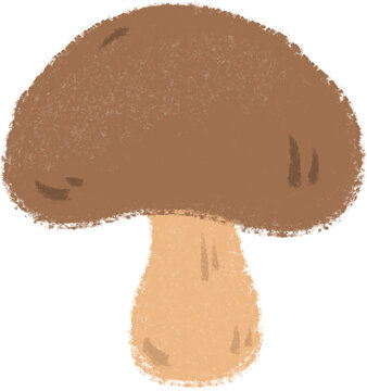 버섯