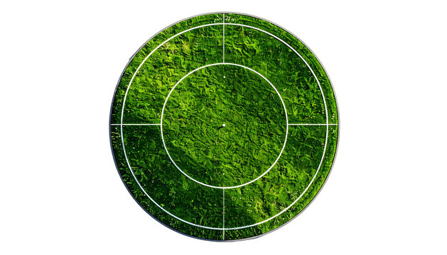 Round view of green, textured surface with concentric rings & crosshairs