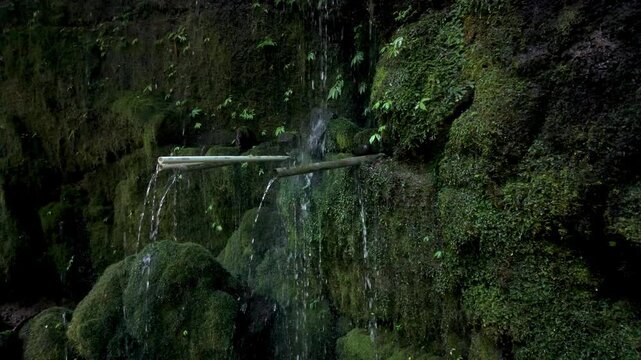 Bamboo water spout fountain in a moss covered rock face near Ulu Petanu waterfall in Bali. Slow motion in 4K. 