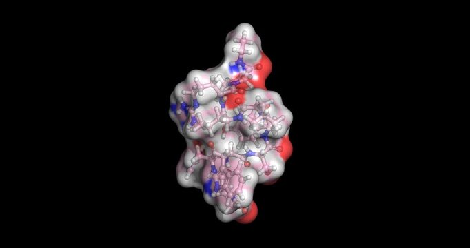 Leuprolide hormone, 3D molecule spinning, 4K
