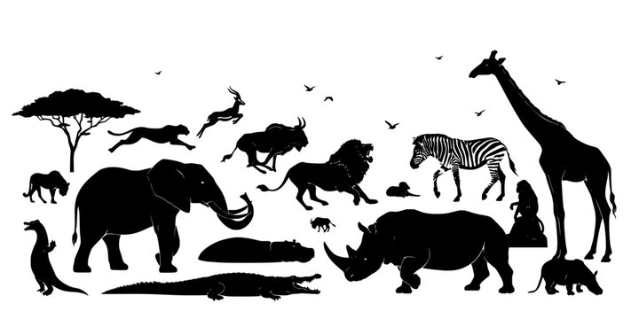 A Dense and Intricate Vector Illustration Featuring a Variety of African Wildlife, Including Elephants, Lions, Giraffes, Zebras