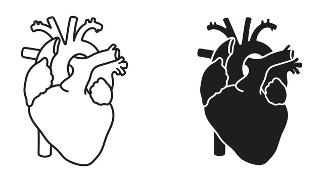 Anatomical Heart Icon Set: A clear and concise illustration of a human heart in both outline and solid black form, perfect for medical or educational content.
