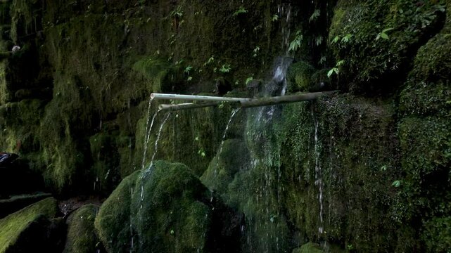 Bamboo water spout fountain in a moss covered rock face near Ulu Petanu waterfall in Bali. The camera tracks forwards in slow motion. 