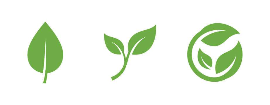 Green leaf vector icons nature ecology and organic design elements