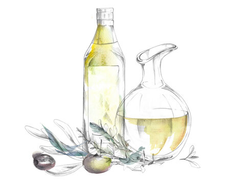Mediterranean still life with oil, vinegar bottle, glass cruet, olive branch. Pencil and watercolor hand drawn illustration. Product packaging, food editorials, culinary branding, hospitality graphics