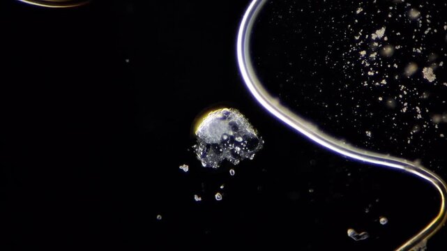 Microscopic timelapse of a water drop with wall plaster to simulate salt efflorescence effect 