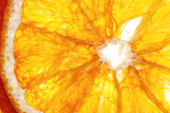 Bright and juicy round orange slice in macro detail. Sunny golden citrus fruit with clear segments, natural food pattern, Summer drink recipes, cocktail garnish, and refreshing food art backgrounds.
