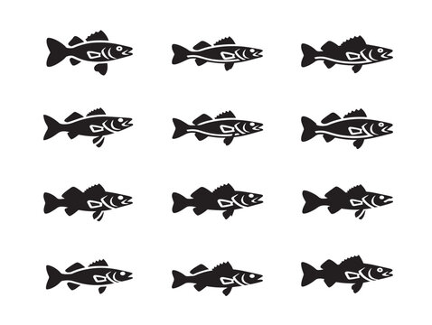 Set of Walleye Fish Solid Black Silhouette Icons in Minimalist Vector Style