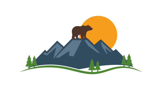 Brown bear standing on mountain at sunset in nature