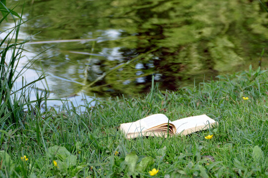 Libro dimenticato sull'erba in riva al fiume
