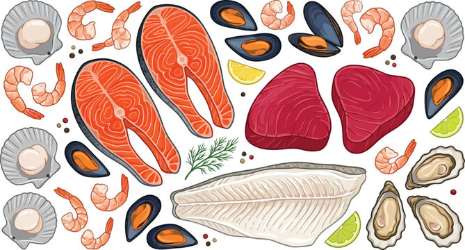 Seafood fish salmon shrimp mussel and meat ingredients detailed food illustration collection for culinary projects