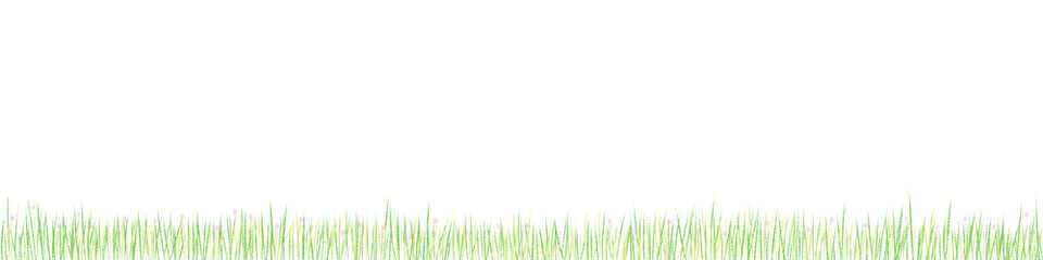 Fototapeta premium green grass border