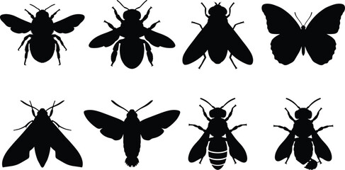 Fototapeta premium Insect Silhouette Collection Featuring Bees Butterflies Moths and Flying Pollinators