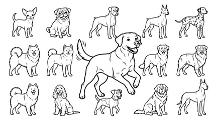 Dog breed line art collection, 15 hand drawn canine illustrations, minimalist black and white pet vector set for coloring and design © usman