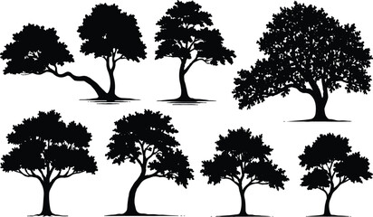 Trees showcase diverse natural forms and sprawling branches in this collection of black silhouettes. © mstaduri
