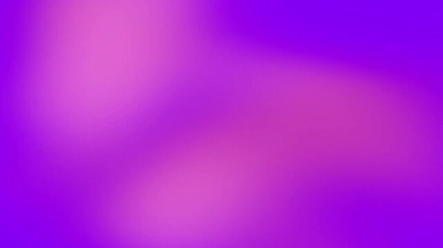 Abstract purple and magenta gradient motion background, smooth soft violet mesh blur looping video.