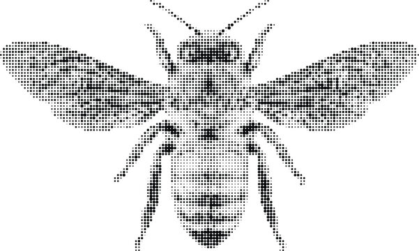 Bee abstract black dots art top view isolated on transparent background design element for logo or emblem honey bee icon concept vector.