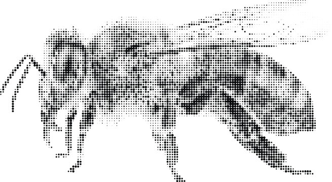 Wasp halftone vector graphic in profile view created with black ink dots on transparent background isolated stylized stinging insect design element.
