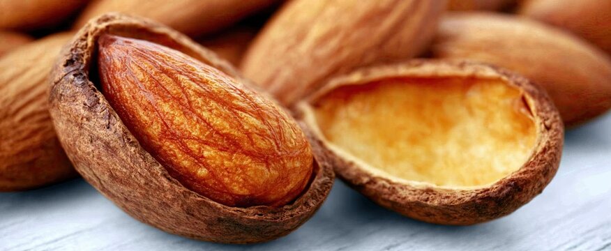 A cracked almond revealing its colorful nut, surrounded by empty shell pieces on a white background.