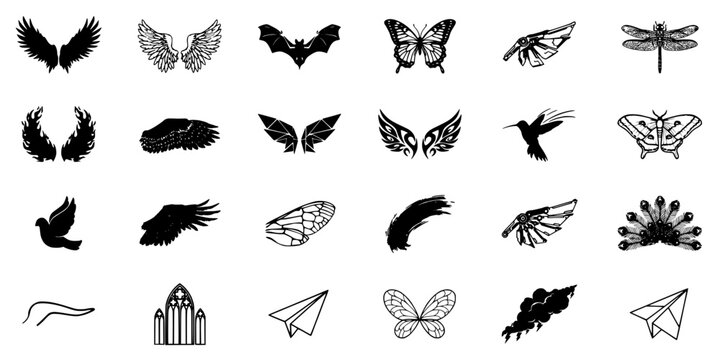 Collection Distinct Black and White Wing Designs Arr Abstract Visual Background with Clean Commercial Design Style