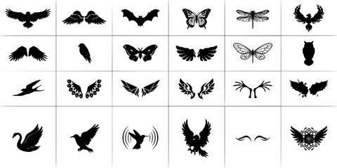 Obraz premium Wings Featuring Various Bird, Bat, and Insect Wing Designs in Black and White Featuring Butterfly, Moth, Dragonfly with Feathers