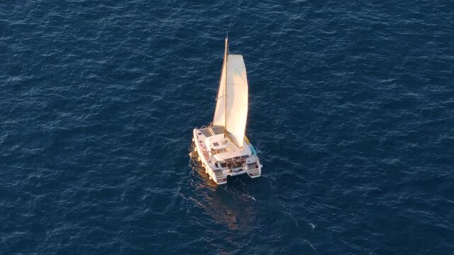 A catamaran sails over blue ocean water. The sail is raised, catching the wind. The water reflects sunlight. The setting is bright and open. This activity takes place during the day.