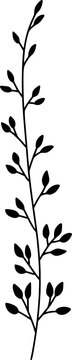 Hand-drawn vector - botanical vertical branch