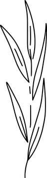 Hand-drawn vector - botanical vertical branch