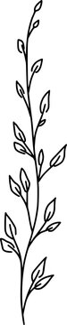 Hand-drawn vector - botanical vertical branch