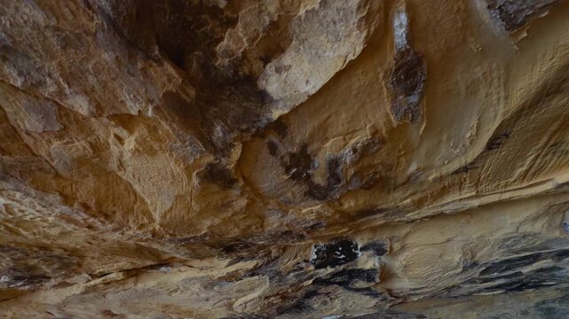 Fossilized bones preserved within sedimentary rock formation, signature cave ceiling, medium closeup