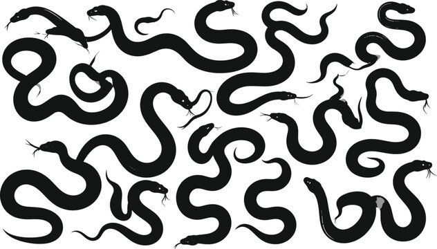 Black Snake Silhouette Vector Collection Featuring Creeping Serpents Cobras and Vipers in Slithering Motion Poses Isolated on White Background