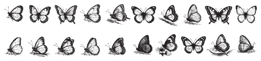 Naklejka premium Collection of hand-drawn black and white butterflies in various poses and perspectives, showcasing intricate wing details on a clean white background