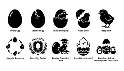 Egg Icon Set with Whole Egg, Cracked Egg, Chick Emerging, Open Shell, Baby Bird, and Farm Education Badges © Afjal12