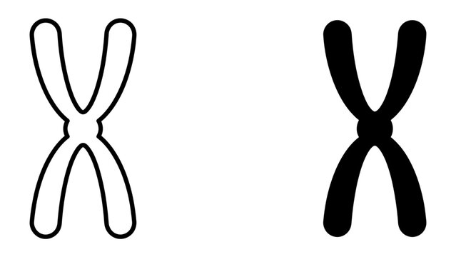 Chromosome Pair: A representation of a chromosome pair, one outlined and one solid black, illustrating the fundamental unit of heredity.