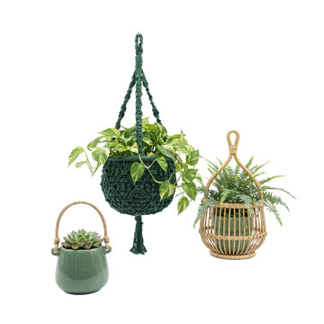 Three decorative hanging planters with green houseplants, including a macrame holder, a ceramic pot, and a woven rattan basket, on white background