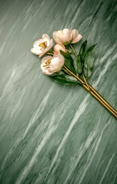 Delicate pink flowers resting on a textured green marble surface background