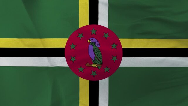 Dominica National Flag with Sisserou Parrot on Wrinkled Fabric
