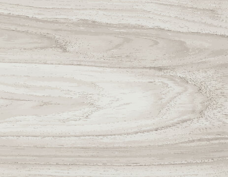 Paulownia Wood Texture Background