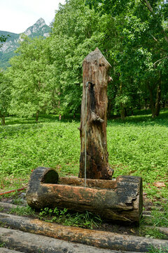fontanella