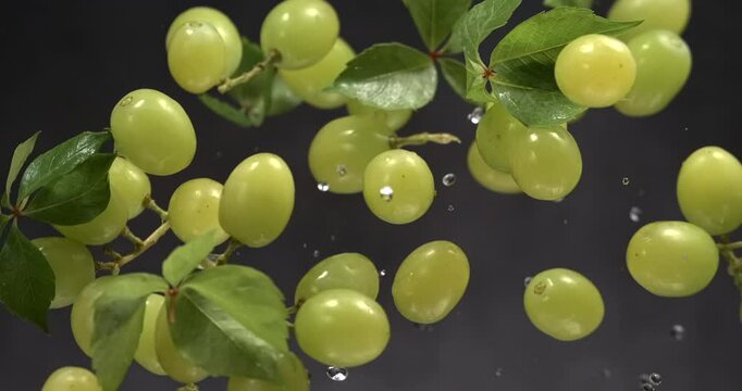 Green grapes with leaves and water splashes floating in the air in super slow motion