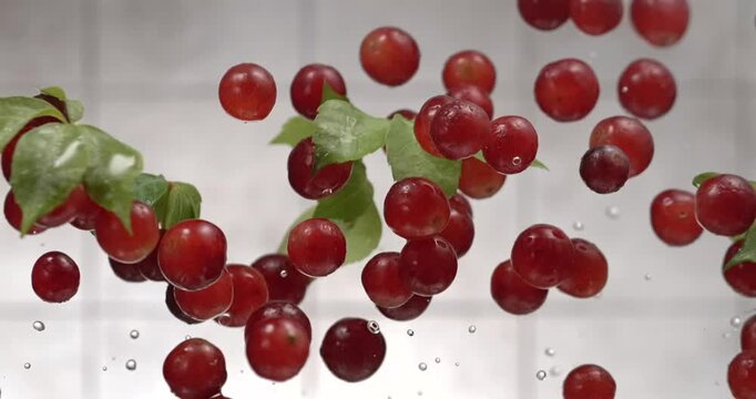 Fresh grapes with leaves and water drops floating in slow motion