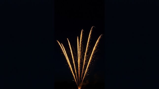 Golden firework display against dark night sky
