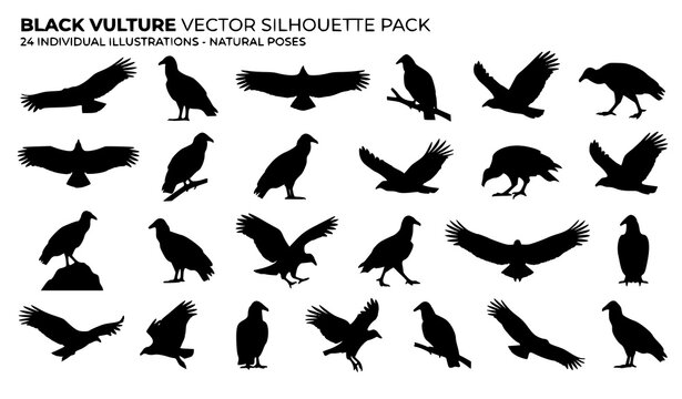 Minimal Black Vulture Bird Silhouette Vector Icon Set