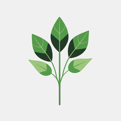 Fototapeta premium Green leaves on a stem illustration.