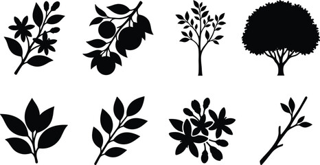 Fototapeta premium Set of black silhouette icons featuring orange tree, leaves, citrus fruit, and blossoms for organic designs