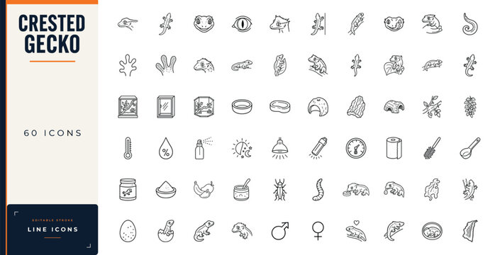 Crested gecko pet care line icon set featuring terrarium enclosures, feeding supplies, insects, heating, humidity, eggs, and reptile husbandry