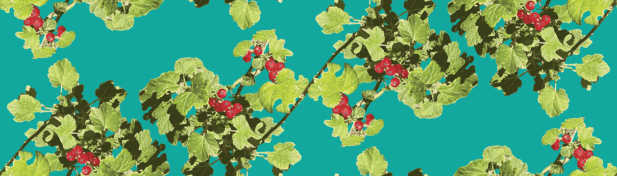 Seamless pattern with ripe redcurrant berries and green leaves on branches isolated on white background, vector botanical illustration for textile design