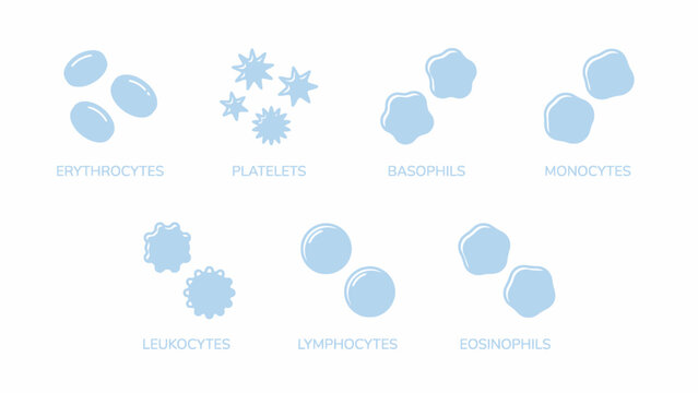 Human blood cells diagram vector icons collection