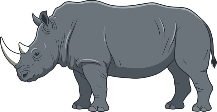 Rhinoceros side view wildlife animal vector illustration